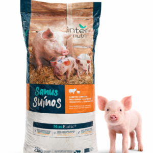 S850 Pig 1