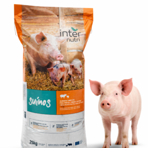 Pig 2